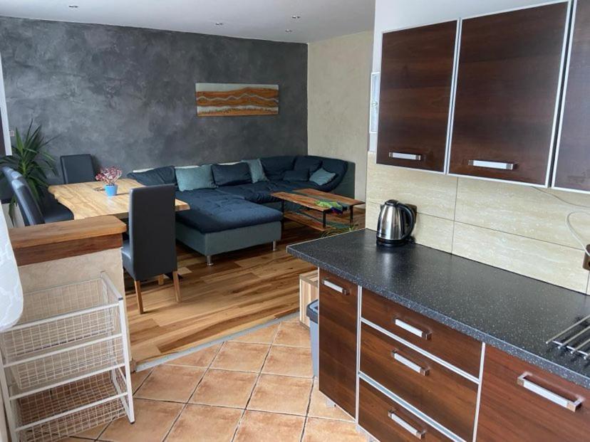 Apartman Orlicke Hory Orlicke Zahori Buitenkant foto