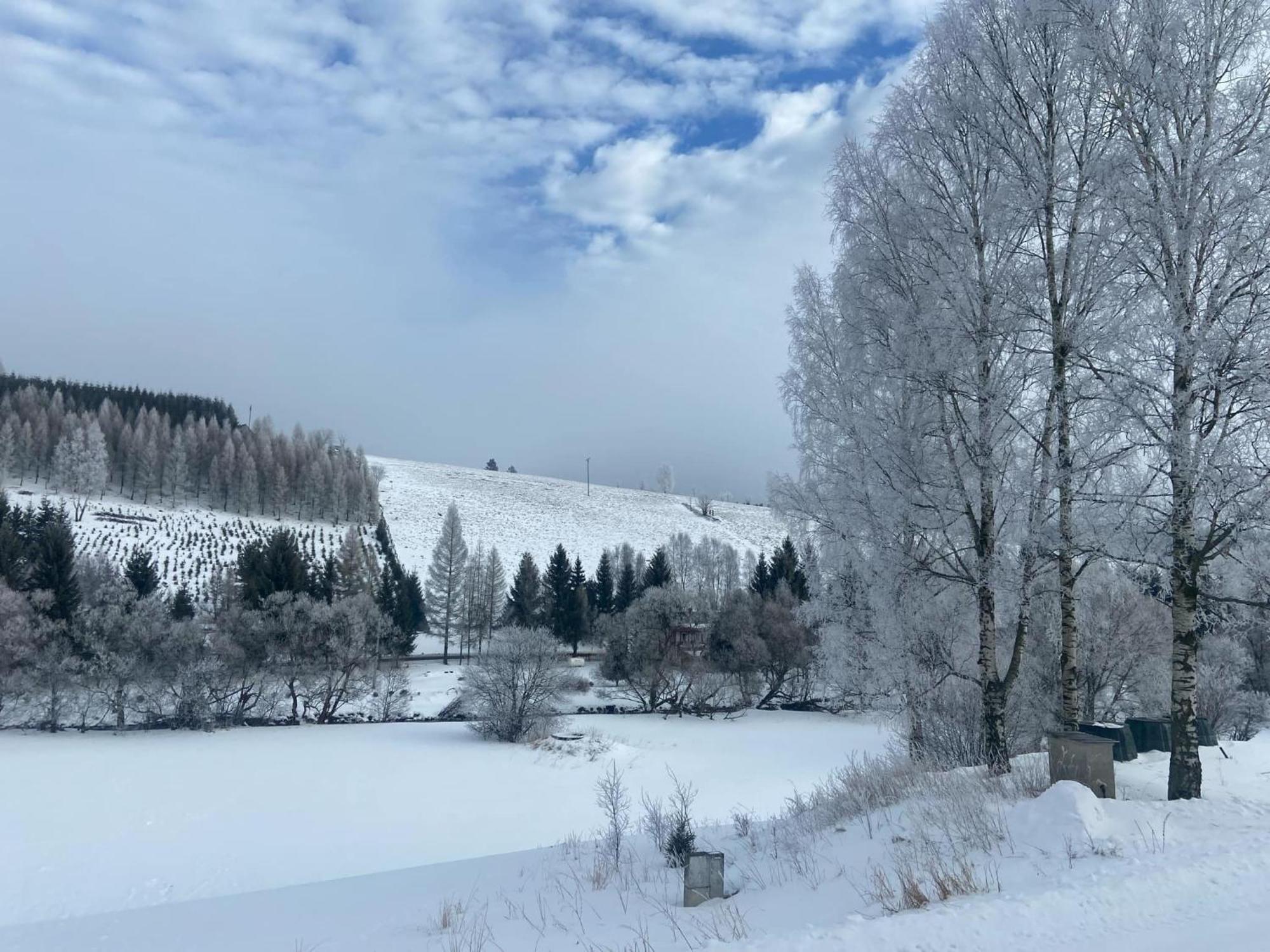 Apartman Orlicke Hory Orlicke Zahori Buitenkant foto